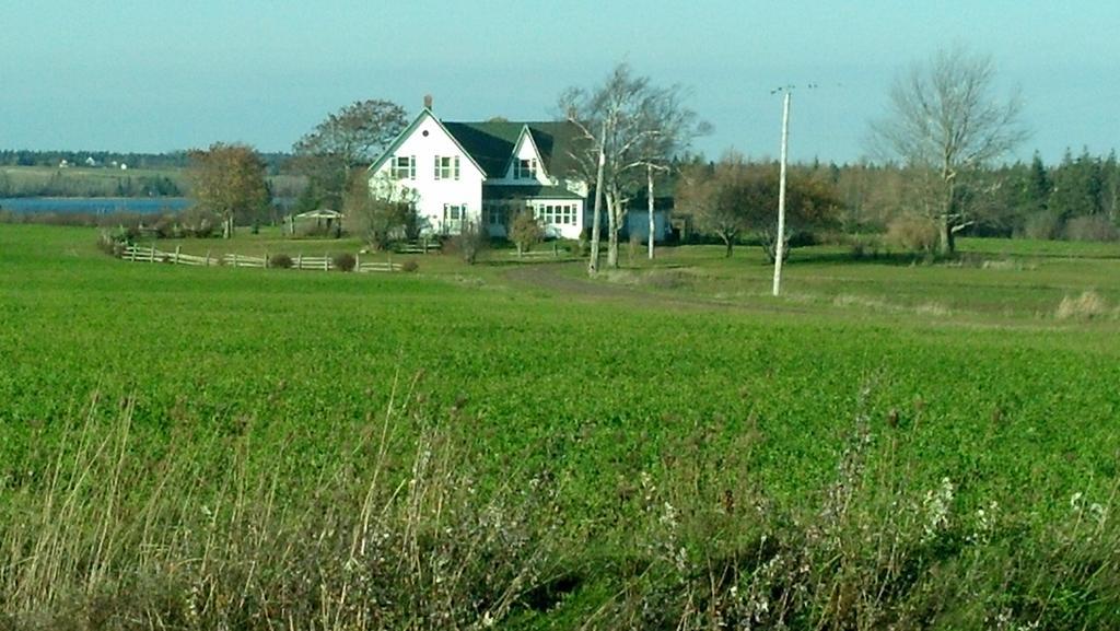 Lovely Green Gable Home Miscouche Eksteriør billede