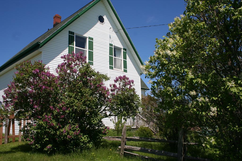Lovely Green Gable Home Miscouche Eksteriør billede