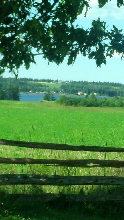 Lovely Green Gable Home Miscouche Eksteriør billede