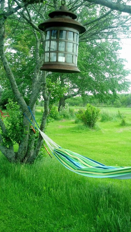Lovely Green Gable Home Miscouche Eksteriør billede